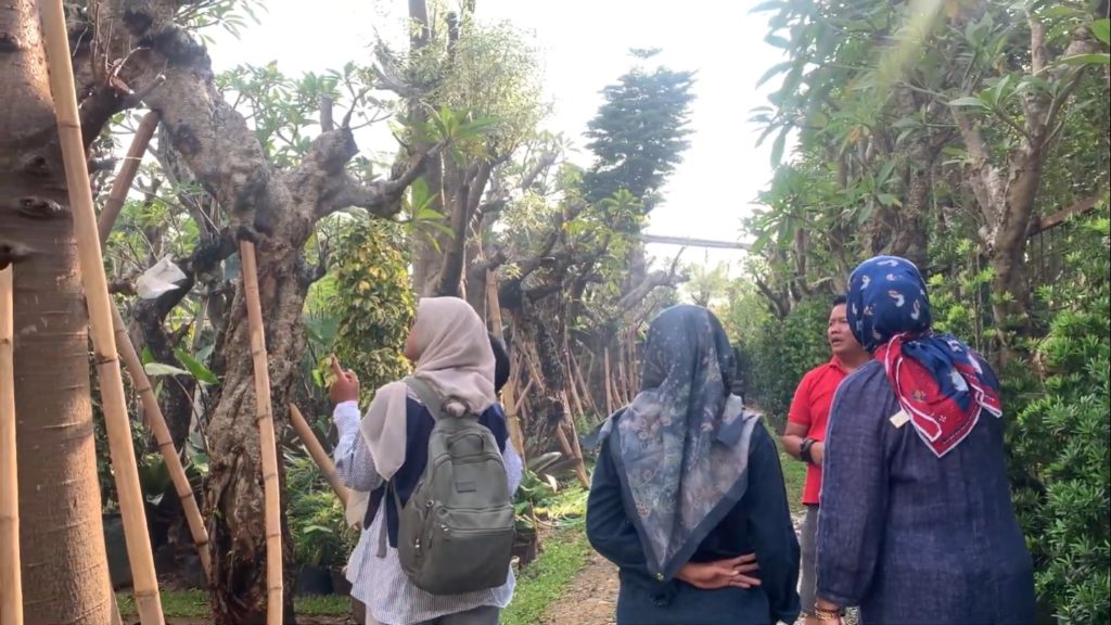 Praktikum Lapangan: Kunjungan ke Nursery Tanaman Hias